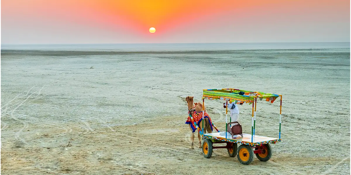 טיול מאורגן לגוג'ארט שבהודו